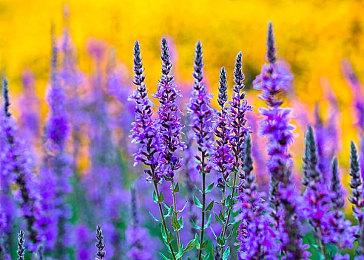 爆笑物理互动冒险游戏《Grandma, No!》Steam页面 发售日待定