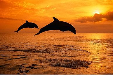 好评如潮求生游戏《Raft》今日退出抢先体验正式版发售